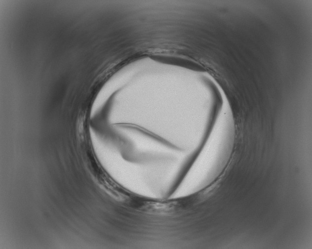 X0000080770166200701122105