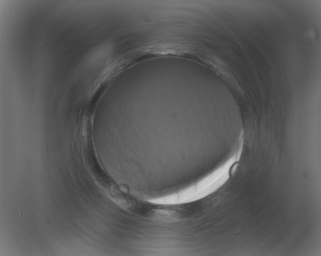 X0000080770167200701122105