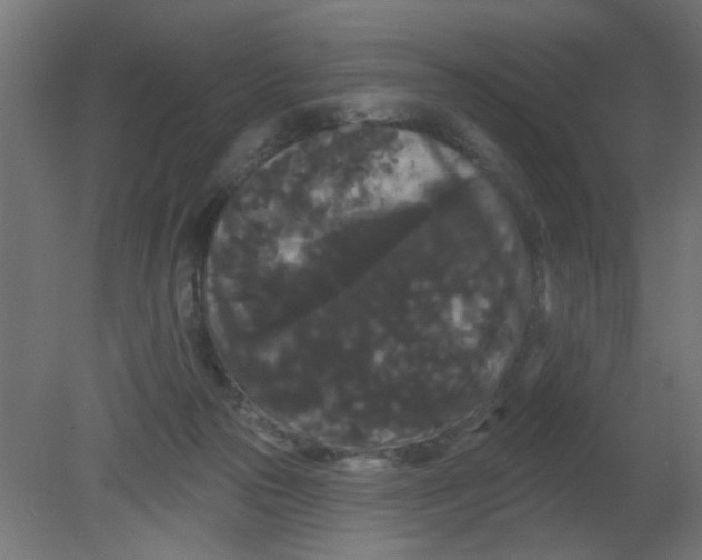 X0000080770169200701122105