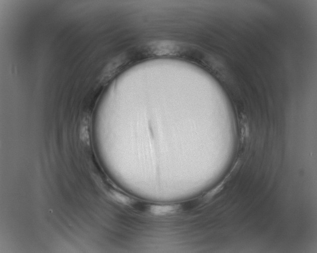 X0000080770175200701122105