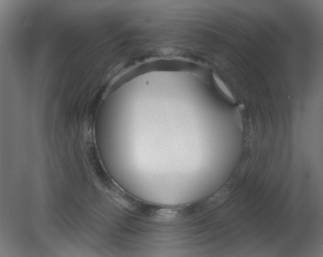 X0000080770176200701122105