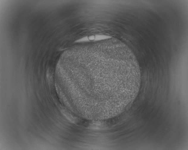 X0000080770177200701122105