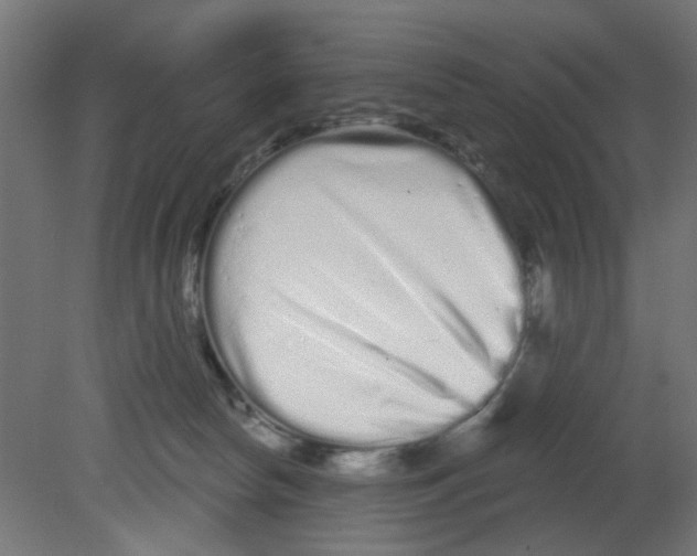 X0000080770178200701122105