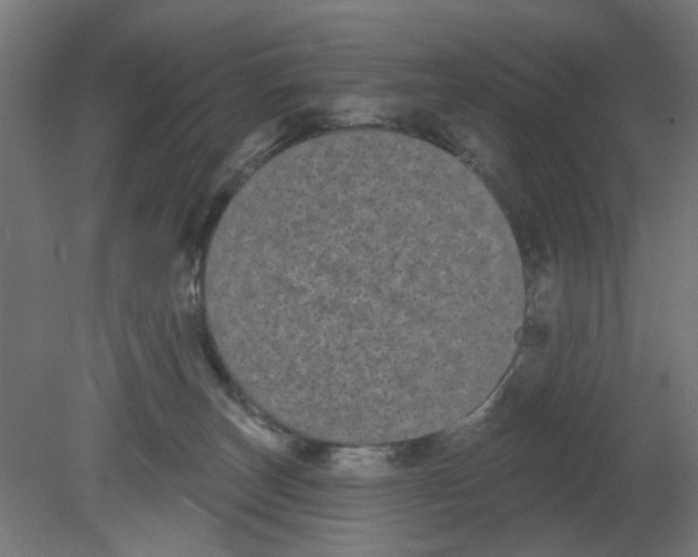 X0000080770179200701122105
