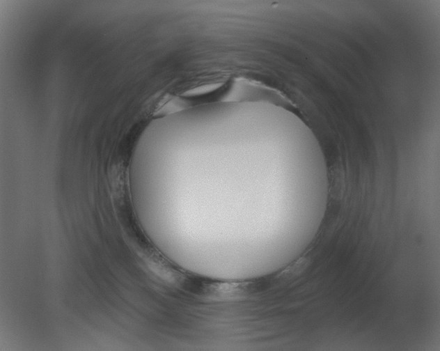 X0000080770184200701122105