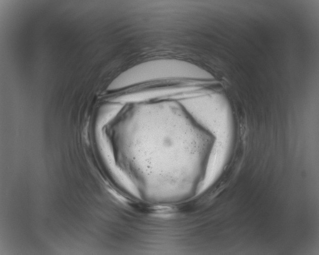 X0000080770185200701122105