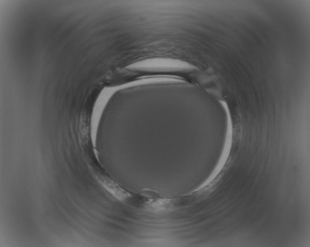 X0000080770186200701122105