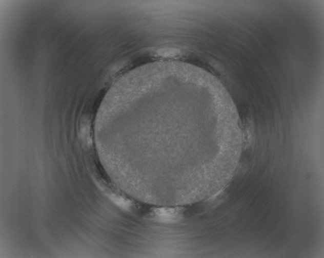 X0000080770187200701122105