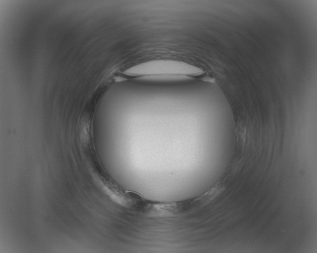 X0000080770188200701122105