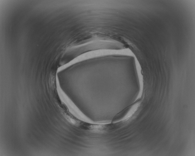 X0000080770192200701122105