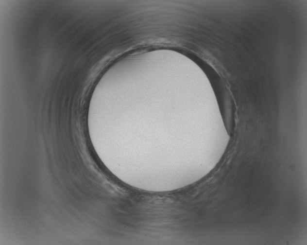 X0000080770193200701122104