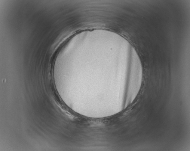 X0000080770194200701122104