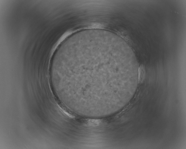 X0000080770195200701122104