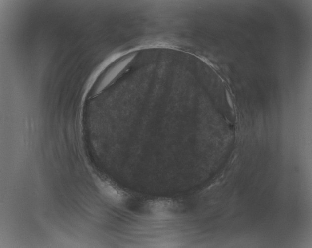 X0000080770200200701122104
