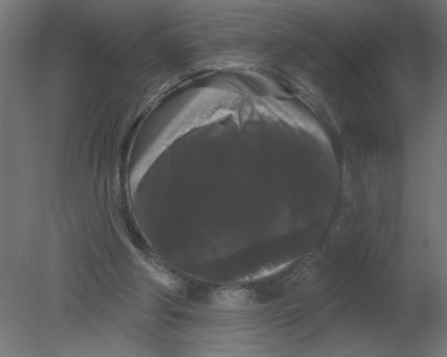 X0000080770202200701122104