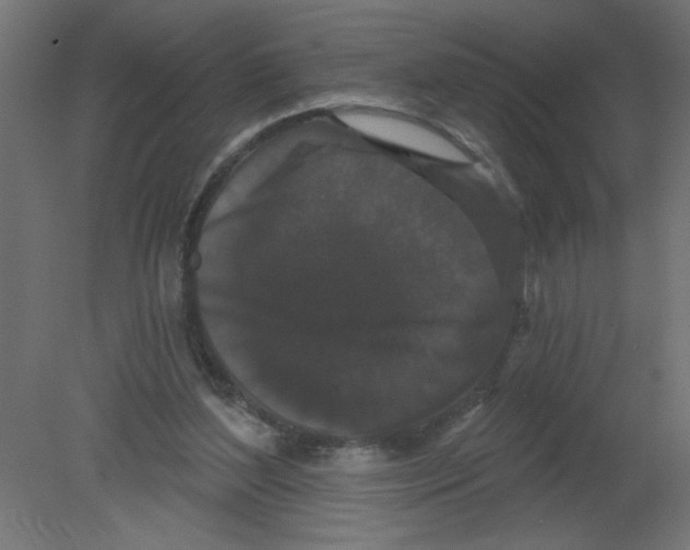 X0000080770204200701122104