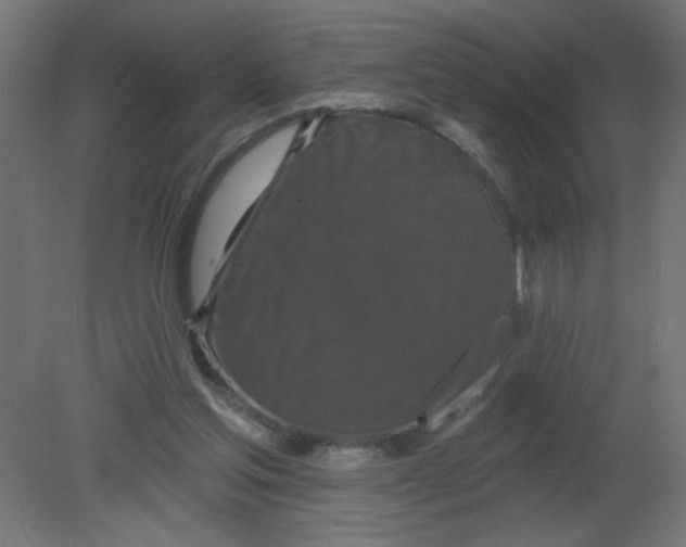 X0000080770205200701122104