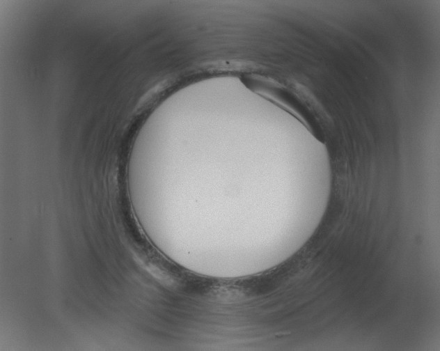 X0000080770207200701122104