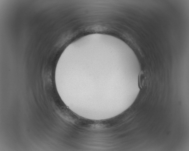 X0000080770212200701122104