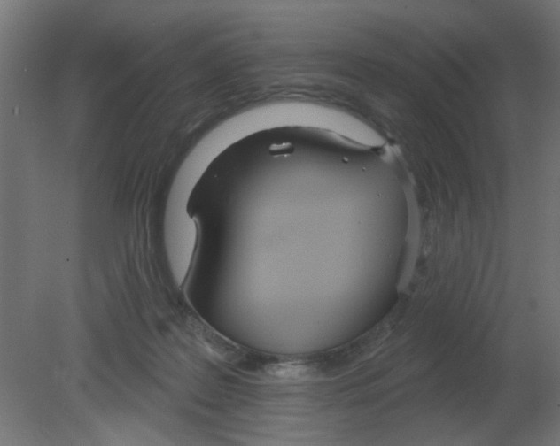 X0000080770219200701122104