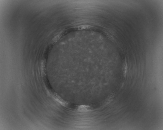 X0000080770222200701122104