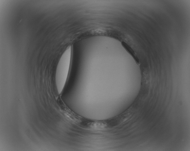 X0000080770223200701122104