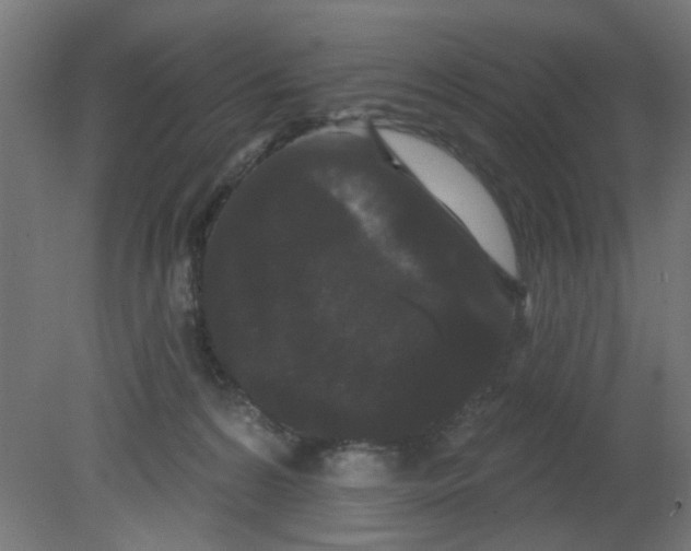 X0000080770224200701122104