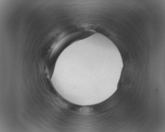 X0000080770225200701122104