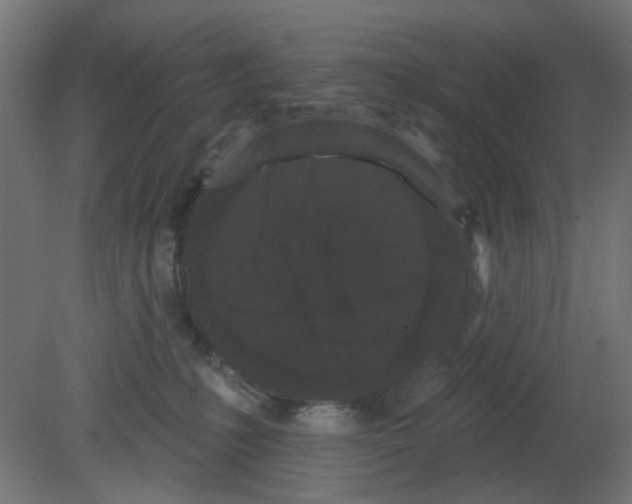 X0000080770231200701122104
