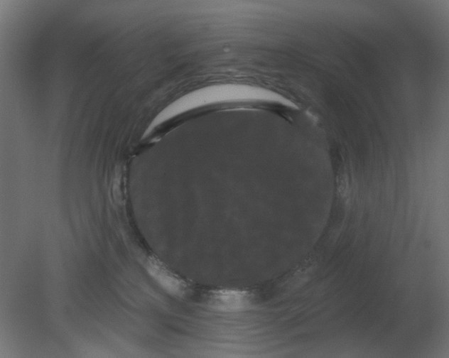 X0000080770233200701122104