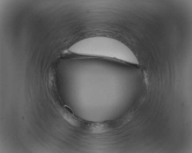 X0000080770235200701122103