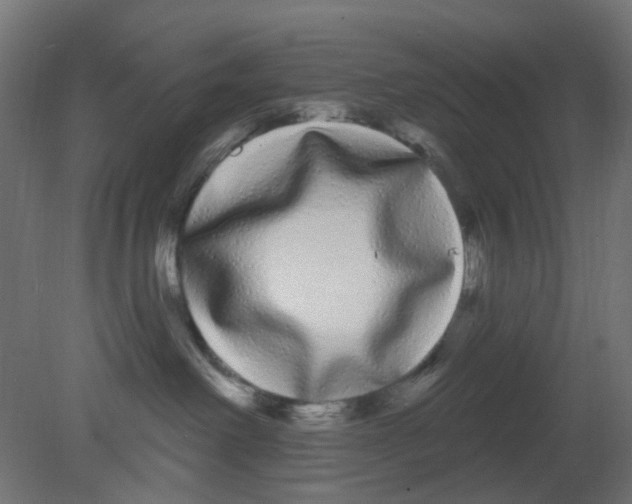 X0000080770238200701122103