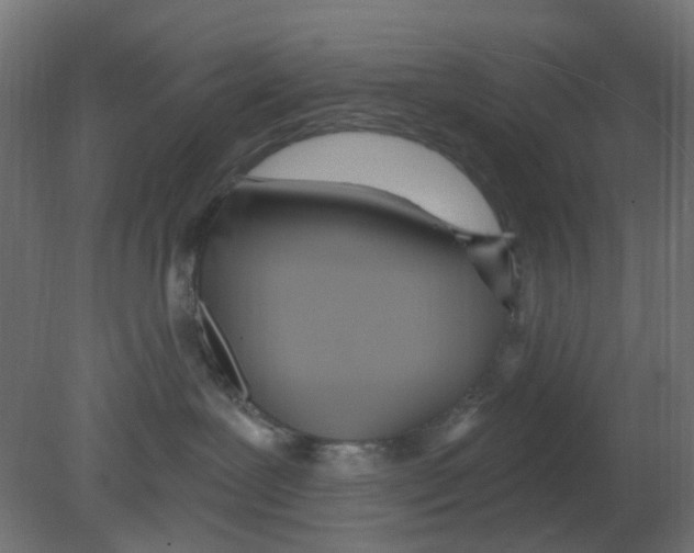 X0000080770239200701122103