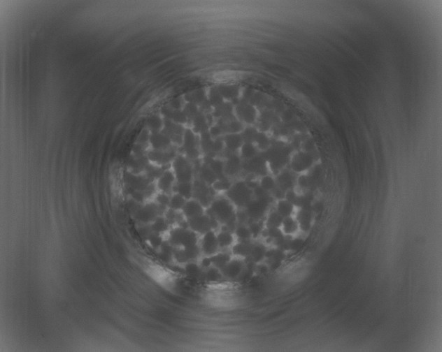 X0000080770240200701122103