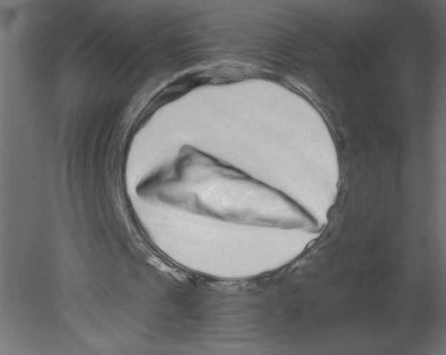 X0000080770241200701122103