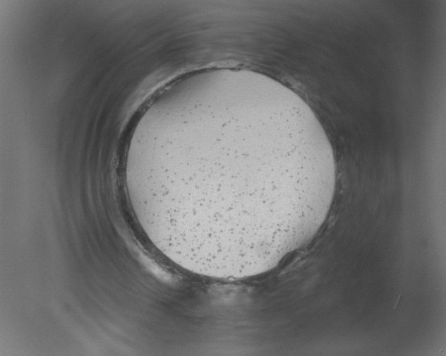 X0000080770242200701122103
