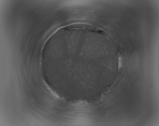 X0000080770243200701122103