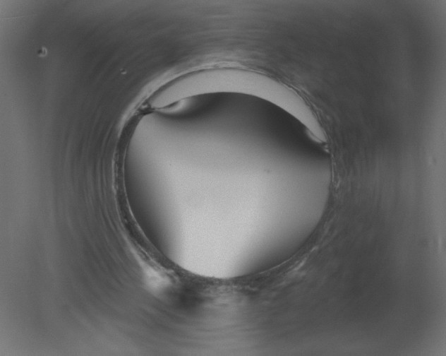 X0000080770244200701122103