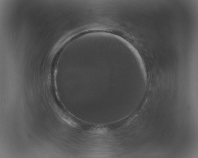 X0000080770247200701122103