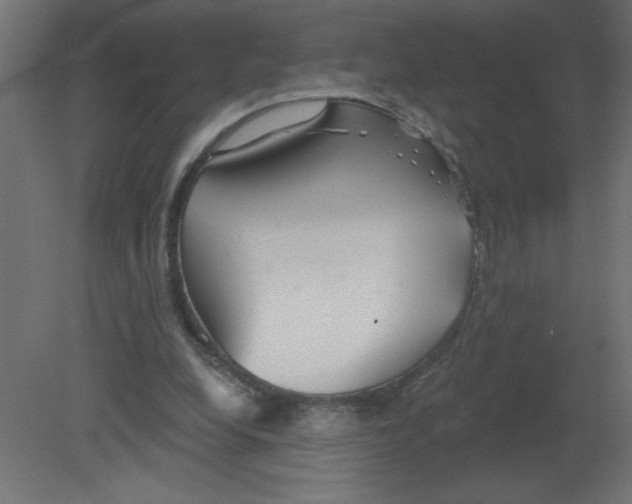 X0000080770248200701122103