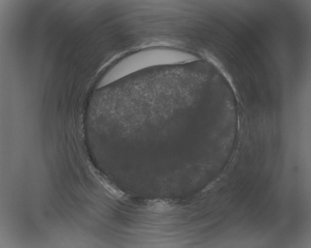 X0000080770249200701122103