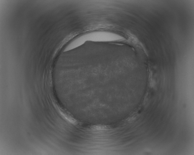 X0000080770250200701122103