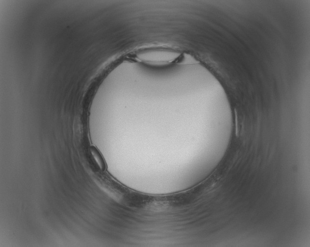 X0000080770252200701122103