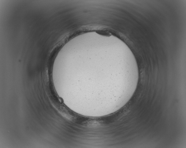 X0000080770254200701122103