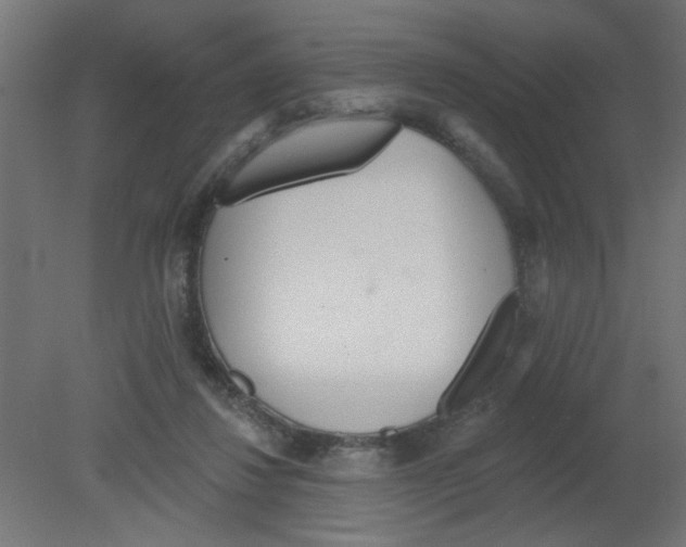 X0000080770260200701122103