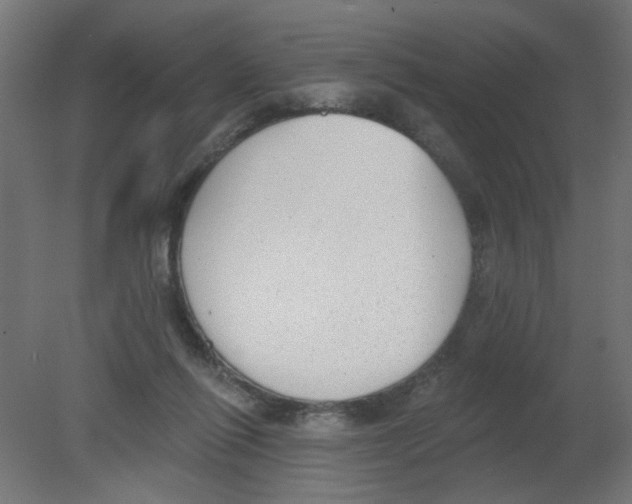 X0000080770262200701122103