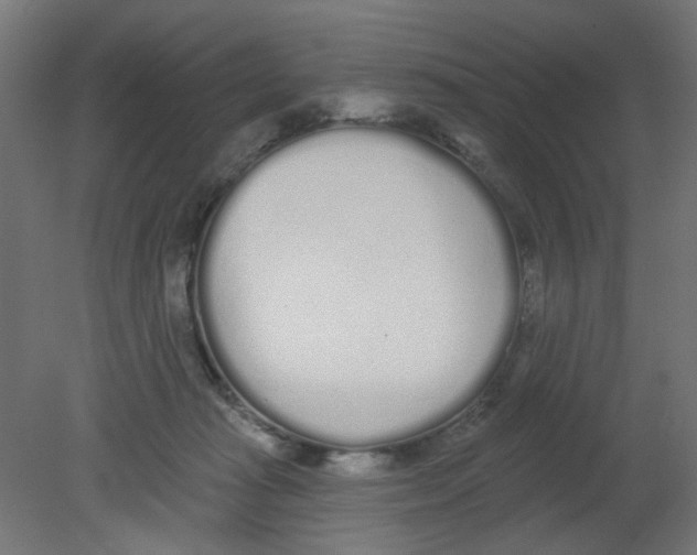 X0000080770269200701122103