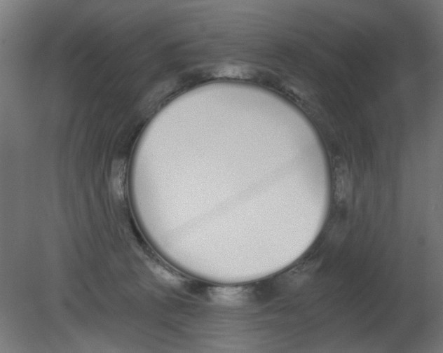 X0000080770273200701122103