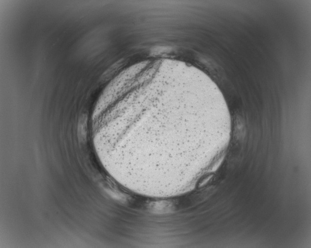 X0000080770275200701122103