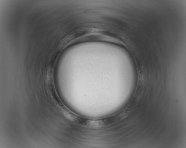 X0000080770277200701122103